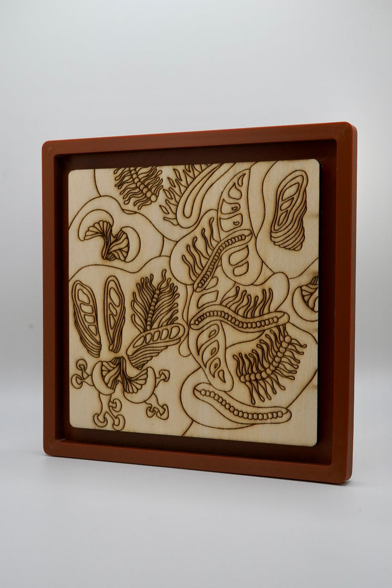 A square wooden box with a recessed interior displaying an engraved natural wood panel with abstract caterpillar-like patterns, set against a plain light gray background.